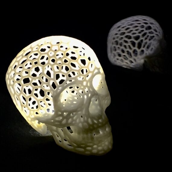 IMG_4351_display_large