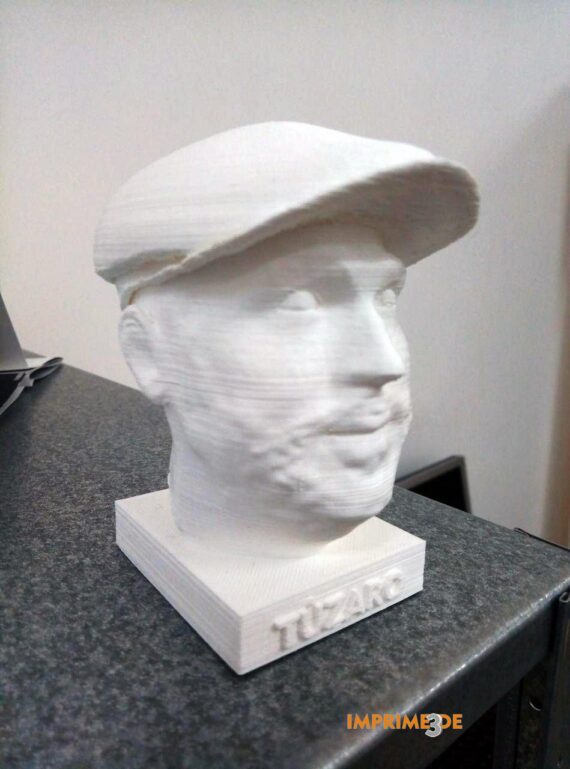Busto Personalizado I3D