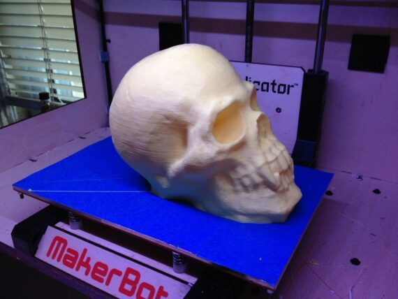 09_skull1_display_large