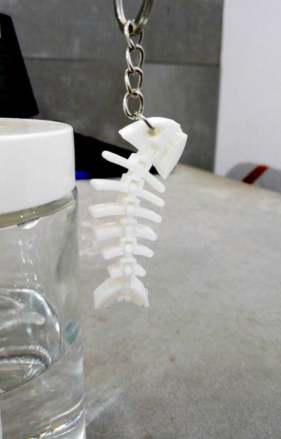 Chaveiro Sardiña back